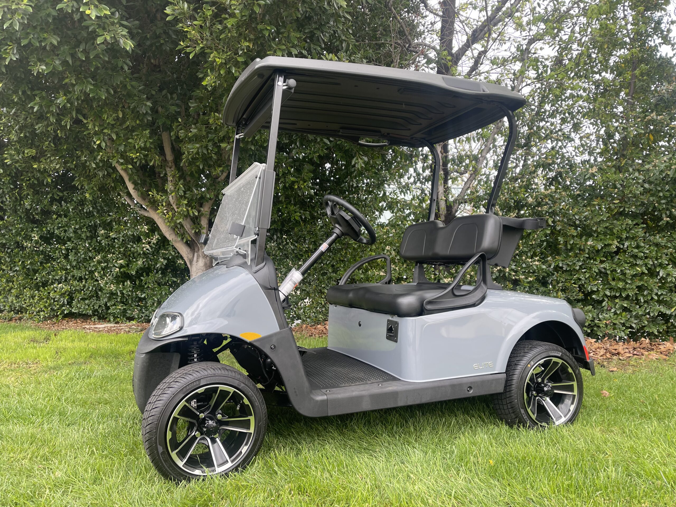 EZGO RXV 2 Passenger Cement Gray | Laguna Golf Carts